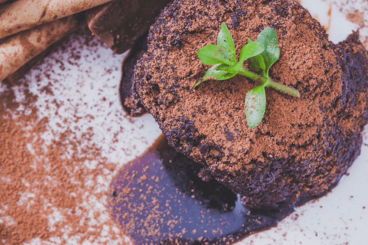 Instant Pot Chocolate Lava Cake – a rich, gooey delight in individual ramekins, topped with a hint of powdered sugar.